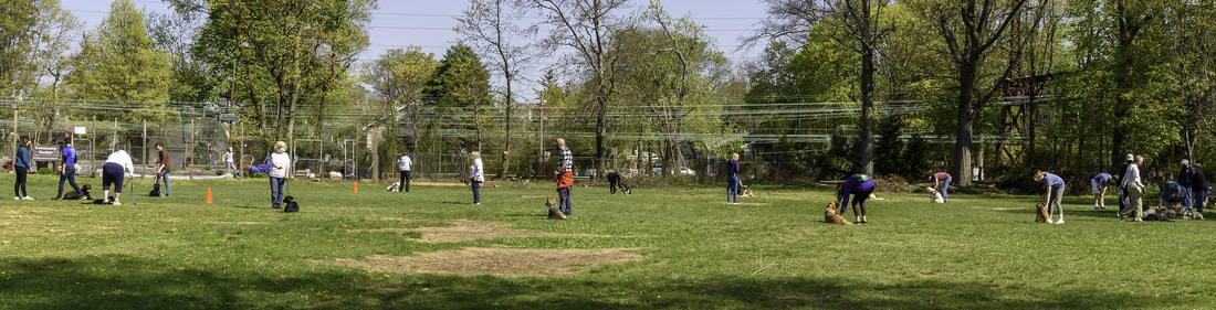 Puppies and club members practice outside in a circle